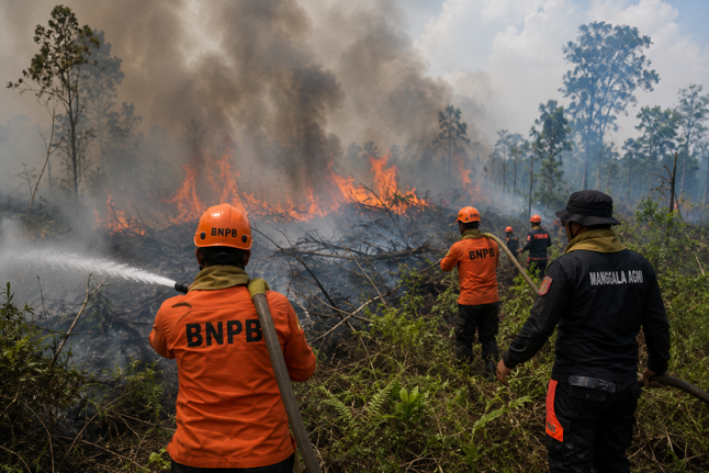 Gambar Karhutla Kalimantan Barat Capai 28 Ribu Hektare, BNPB Intensifkan Penanganan dan Mitigasi Dampak El Nino - karhutla...